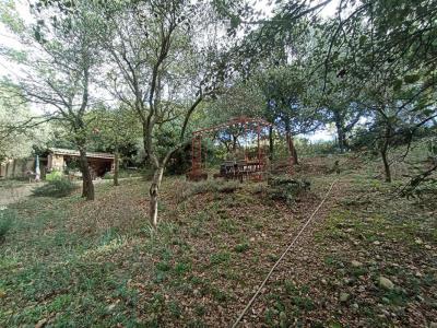 For sale Granges-gontardes 8706 m2 Drome (26290) photo 4