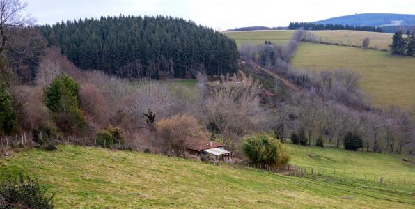 For sale Violay 3 rooms 70 m2 Loire (42780) photo 2