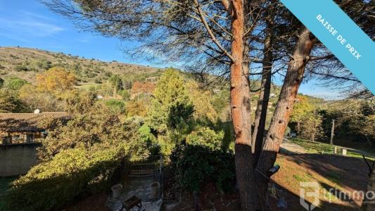 For sale Limoux 10 rooms 220 m2 Aude (11300) photo 1