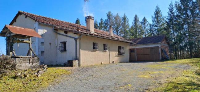 For sale Negrondes 3 rooms 75 m2 Dordogne (24460) photo 3