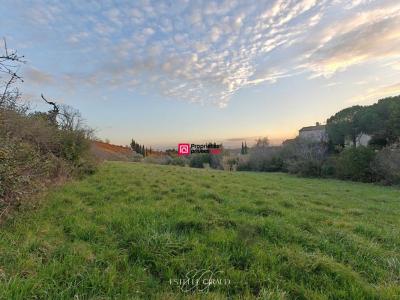 Annonce Vente Terrain Caunes-minervois 11