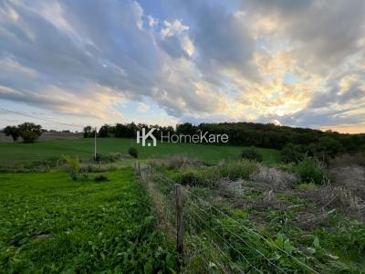 For sale Aurignac 4 rooms 300 m2 Haute garonne (31420) photo 4