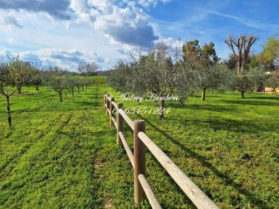 For sale Manosque 6 rooms 138 m2 Alpes de haute provence (04100) photo 1