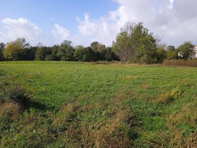 Annonce Vente Terrain Saint-ciers-sur-gironde 33