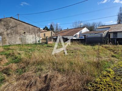 Annonce Vente Terrain Pugnac 33