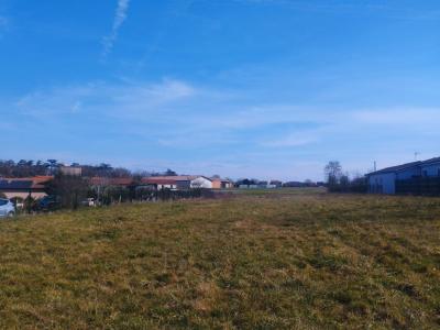 Annonce Vente Terrain Saint-clar-de-riviere 31