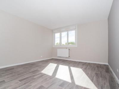 Annonce Location 2 pices Appartement Chagny 71