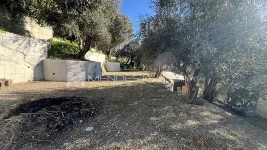 For sale Gorbio 588 m2 Alpes Maritimes (06500) photo 2