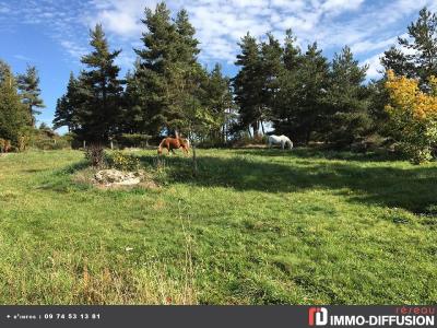 For sale Chateauneuf de Randon ( 1 4 rooms 104 m2 Lozere (48170) photo 1