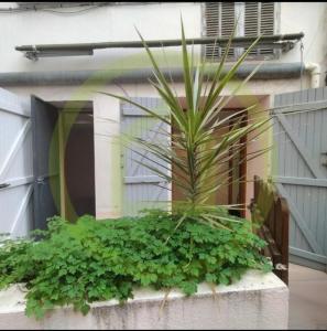 For sale Nice 2 rooms 43 m2 Alpes Maritimes (06000) photo 1