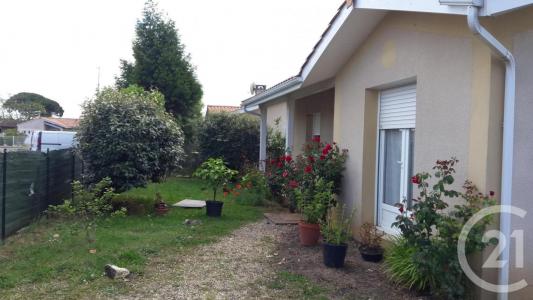 Annonce Location 3 pices Maison Lesparre-medoc 33