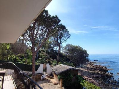 Acheter Maison 234 m2 Saint-raphael