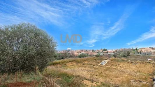 For sale Cazouls-les-beziers 350 m2 Herault (34370) photo 2