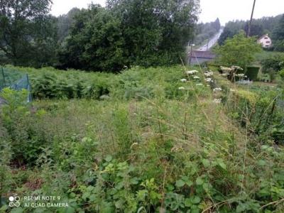 For sale Beauvain LES-MONTS-D-ANDAINE 653 m2 Orne (61600) photo 3