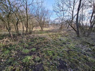 Acheter Terrain 600 m2 Clerlande