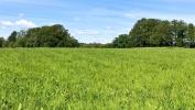 For sale Land Boisseuil  2000 m2