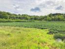 For sale Land Saint-montan  1800 m2