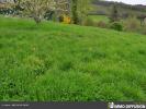 For sale Land Saint-didier-au-mont-d'or 