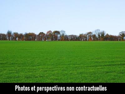 For sale Vendrennes Vendee (85250) photo 1