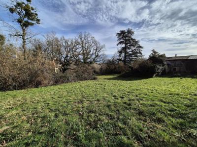 For sale Saint-exupery 4 rooms 180 m2 Gironde (33190) photo 3