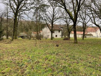 Acheter Maison 137 m2 Bouligny