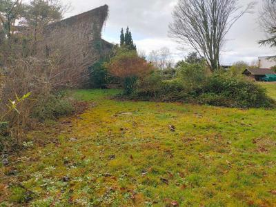 Annonce Vente Terrain Montussan 33