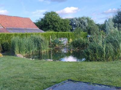 For sale Matringhem 7 rooms 152 m2 Pas de calais (62310) photo 1