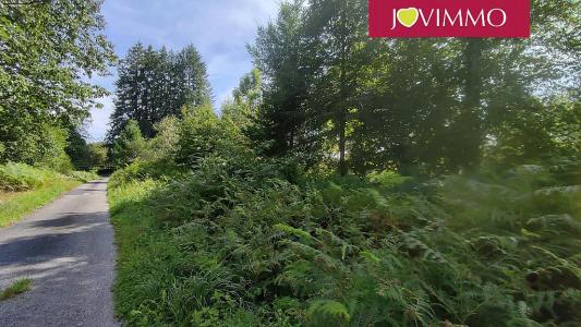 Annonce Vente Terrain Neuvic 19