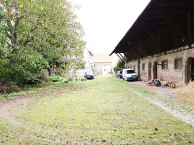 Annonce Vente 8 pices Maison Logelheim 68