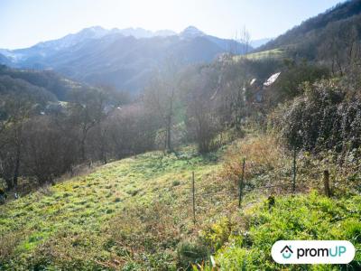 For sale Uchentein 20000 m2 Ariege (09800) photo 3