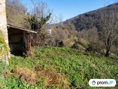 For sale Uchentein 20000 m2 Ariege (09800) photo 4