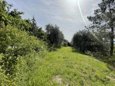 For sale Colomars 1585 m2 Alpes Maritimes (06670) photo 0