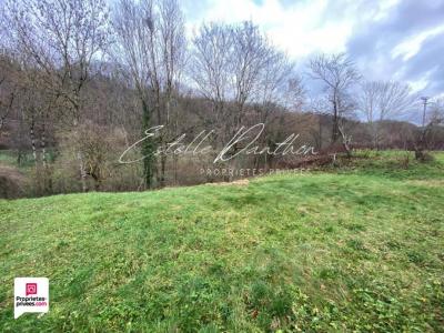 For sale Nivolas-vermelle 452 m2 Isere (38300) photo 1