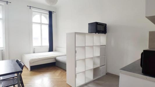 For rent Lyon-1er-arrondissement 1 room 25 m2 Rhone (69001) photo 1