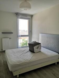 Louer Appartement Gratentour 752 euros