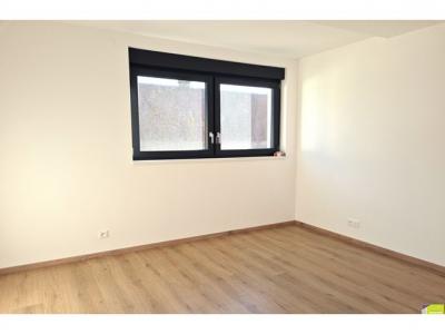 Acheter Appartement 101 m2 Wintzenheim