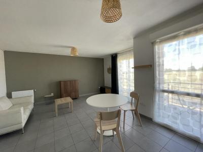 Annonce Location 2 pices Appartement Frouzins 31