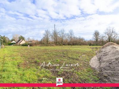 Annonce Vente Terrain Pruniers-en-sologne 41