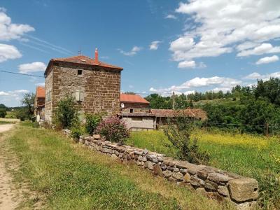 For sale Langeac 5 rooms 100 m2 Haute loire (43300) photo 0