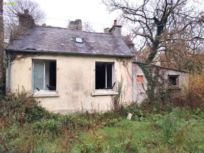 Acheter Maison 40 m2 Landerneau