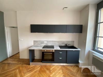 For rent Saint-etienne 2 rooms 47 m2 Loire (42000) photo 1