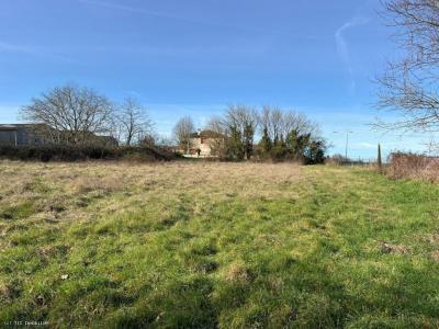 For sale Ruffec 1644 m2 Charente (16700) photo 3