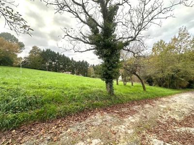 For sale Bon-encontre Lot et garonne (47240) photo 3