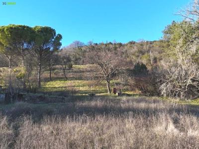 Annonce Vente Terrain Albi 81