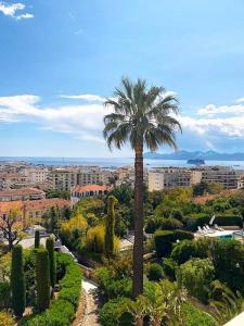 Acheter Appartement Cannes Alpes Maritimes