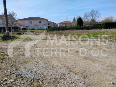 Annonce Vente Maison Gaillac 81