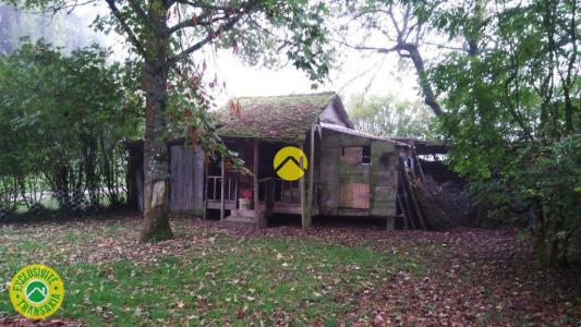 Acheter Maison Cosne-cours-sur-loire Nievre