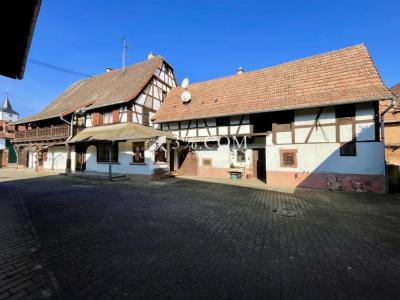 Annonce Vente 7 pices Maison Alteckendorf 67