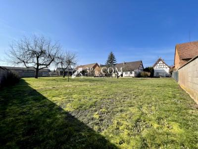 Acheter Maison Alteckendorf Bas rhin