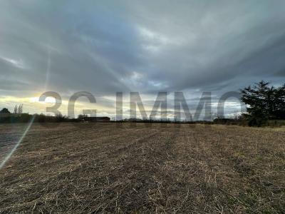 For sale Beauregard-l'eveque Puy de dome (63116) photo 2